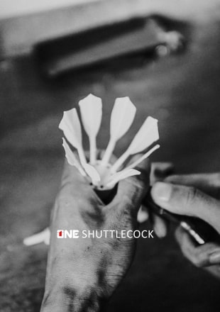 Agen Shuttlecock Malang